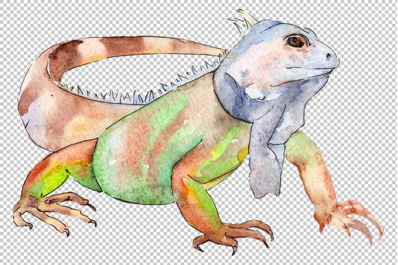 animal-world-iguaana-watercolor-png