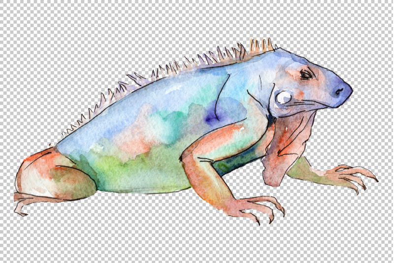 animal-world-iguaana-watercolor-png