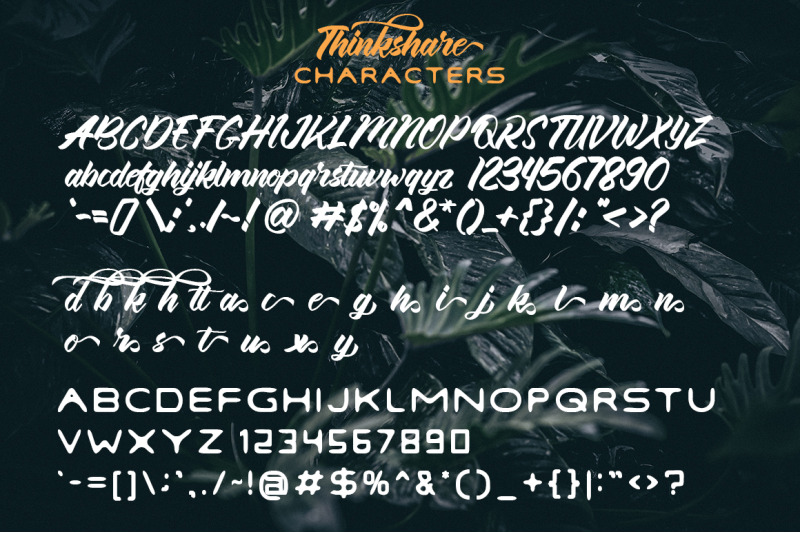 thinkshare-font-duo