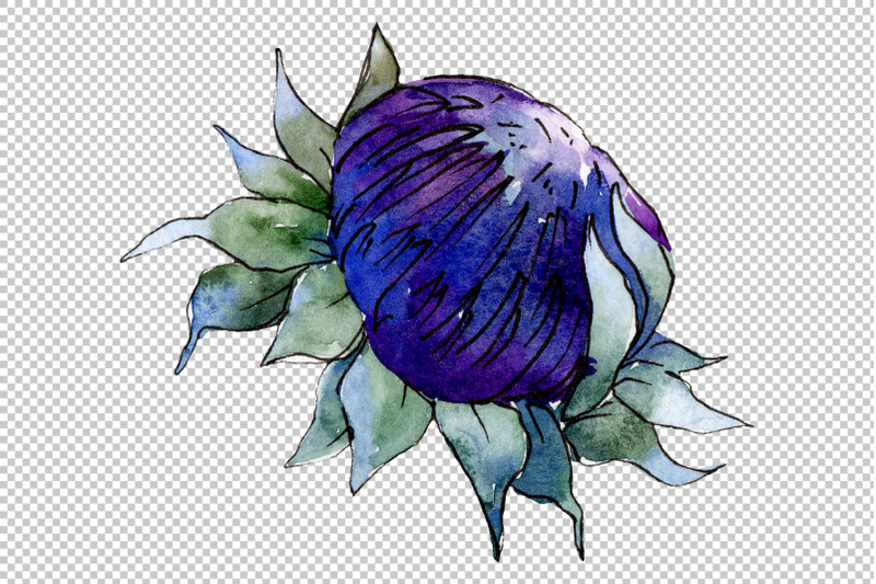 watercolor-thistle-png