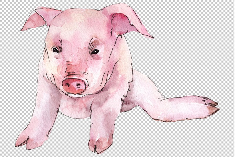 animal-pig-watercolor-png
