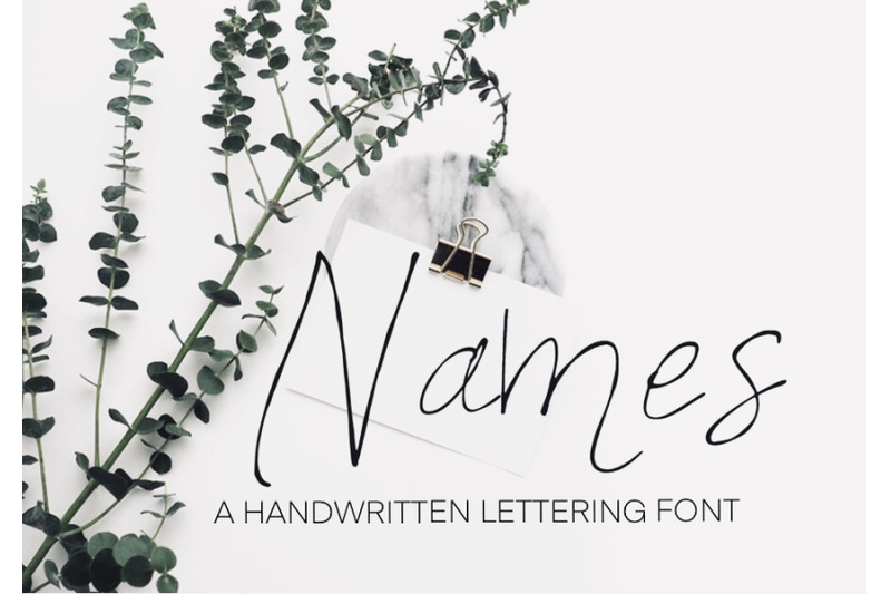 names-font