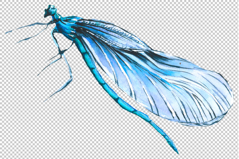 original-dragonfly-blue-watercolor-png
