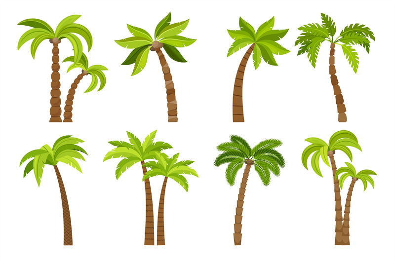 palm-trees-isolated-on-white