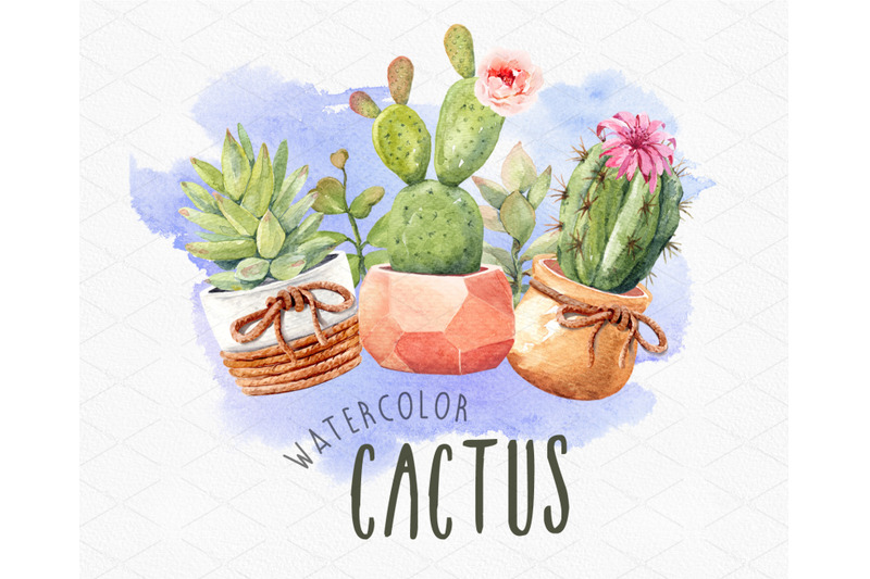 cacti-watercolor-cactus-watercolor-succulent-clipart