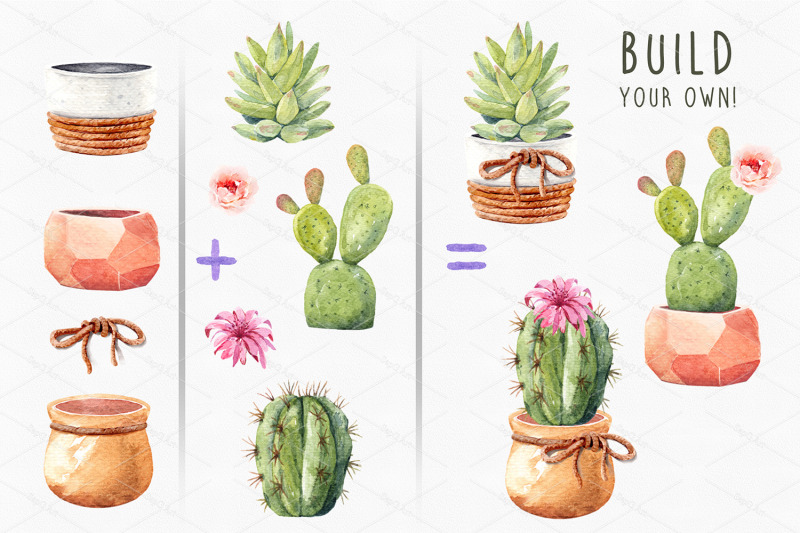 Download Cacti watercolor, Cactus watercolor,succulent clipart By ...