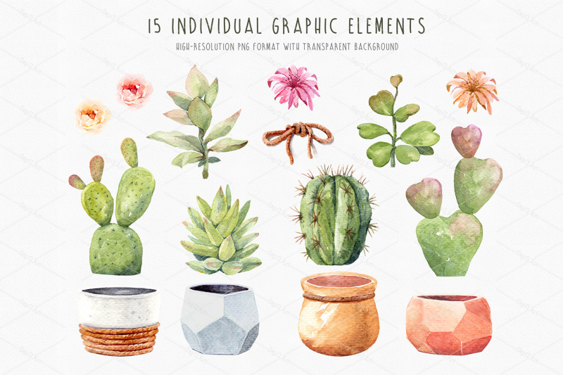 cacti-watercolor-cactus-watercolor-succulent-clipart