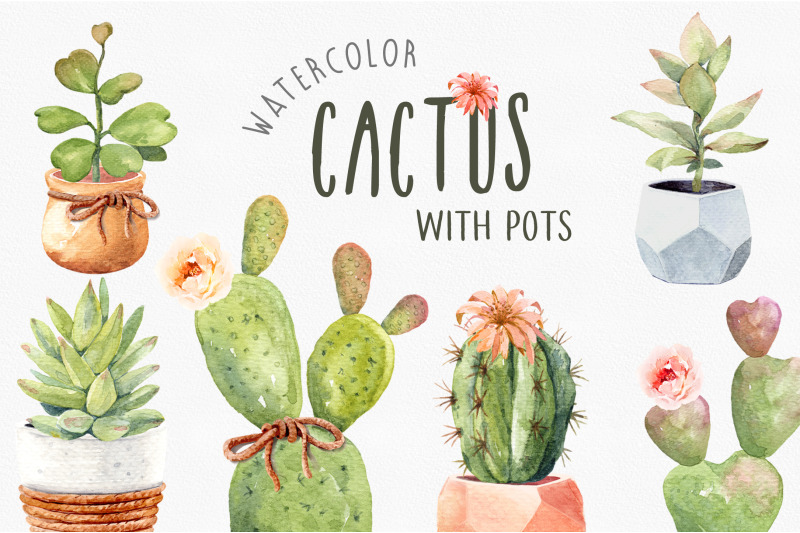 cacti-watercolor-cactus-watercolor-succulent-clipart