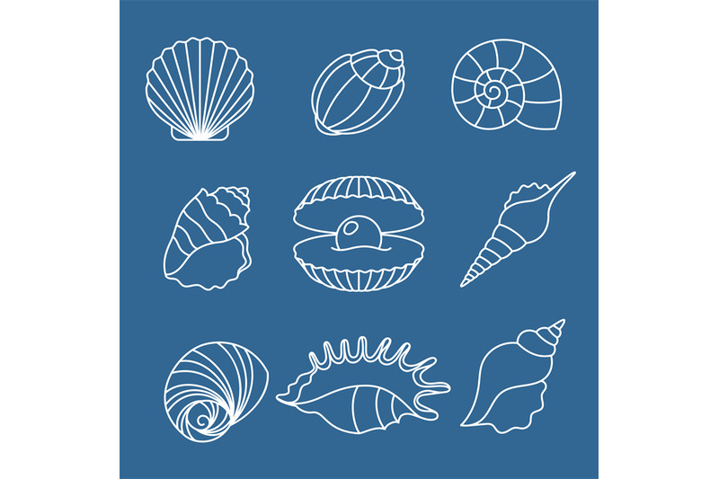 sea-shell-outline-icons-on-blue