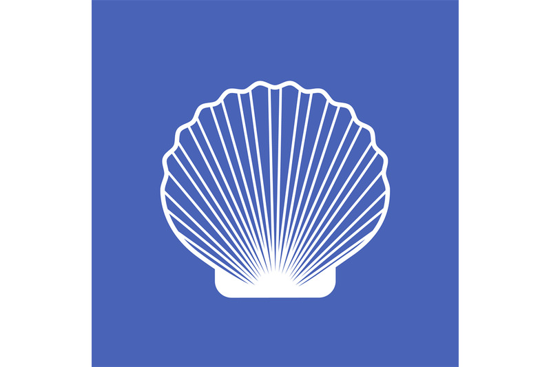 marine-seashell-scallop