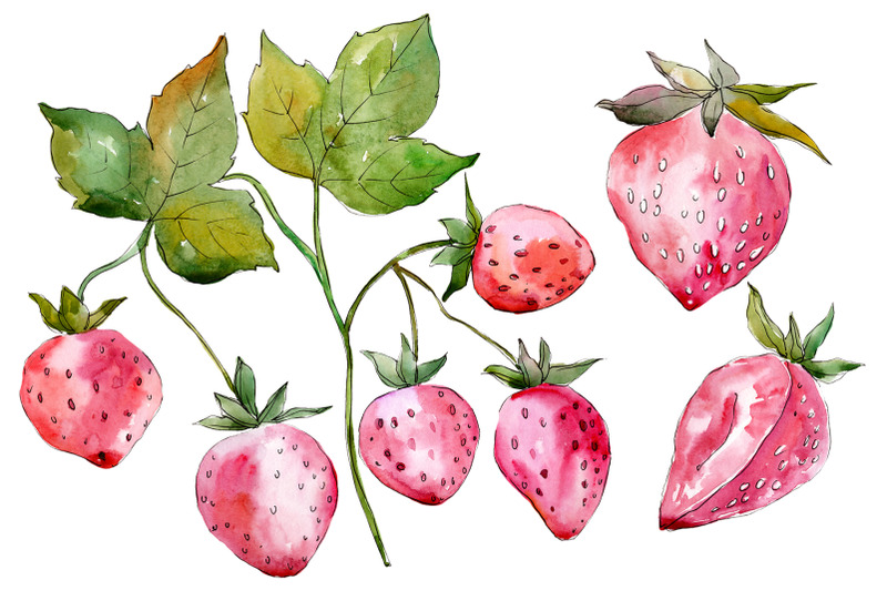 strawberry-red-watercolor-png-c