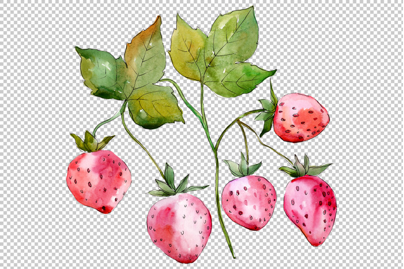 strawberry-red-watercolor-png-c