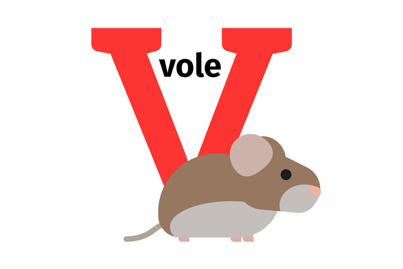 english-animals-zoo-alphabet-letter-v