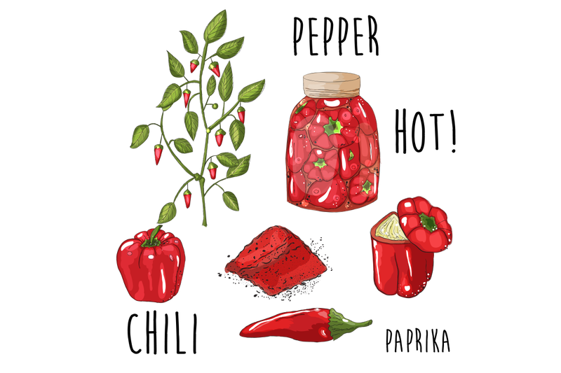 hand-drawn-red-pepper-plant-in-bottle-powder-spice