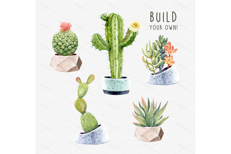 watercolor-cactus-clipart-cacti-succulents-with-pots-digital-files