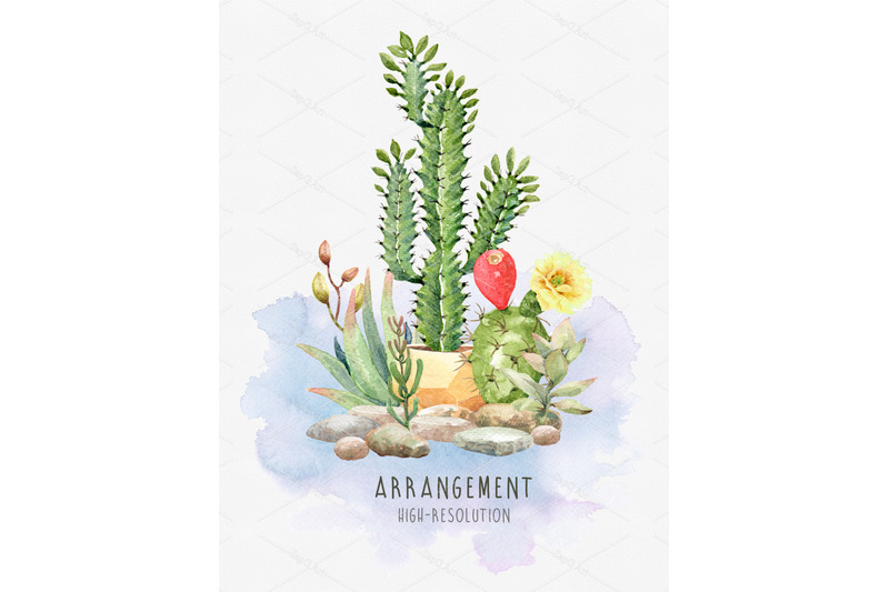 cacti-watercolor-succulent-clipart-cactus-with-flower-pots