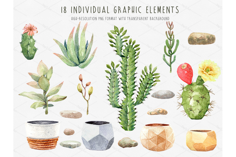 cacti-watercolor-succulent-clipart-cactus-with-flower-pots
