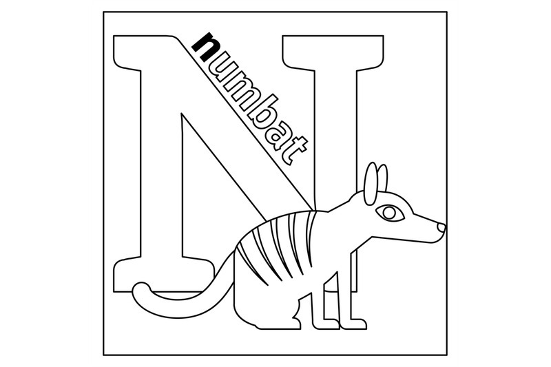 numbat-letter-n-coloring-page