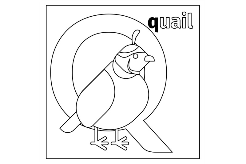 quail-letter-q-coloring-page