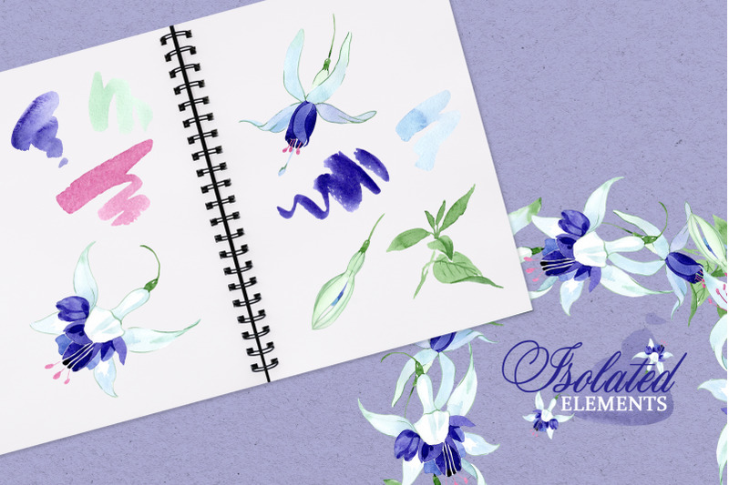 fuchsia-blue-watercolor-png-nbsp