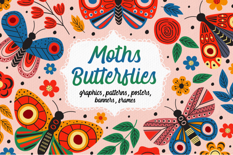 butterflies-and-moths-collection
