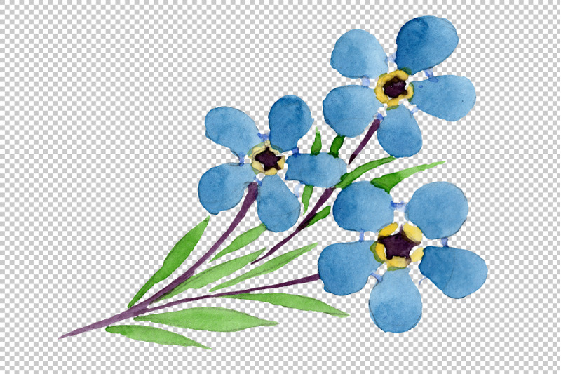 lily-of-the-valley-and-forget-me-nots-watercolor-png