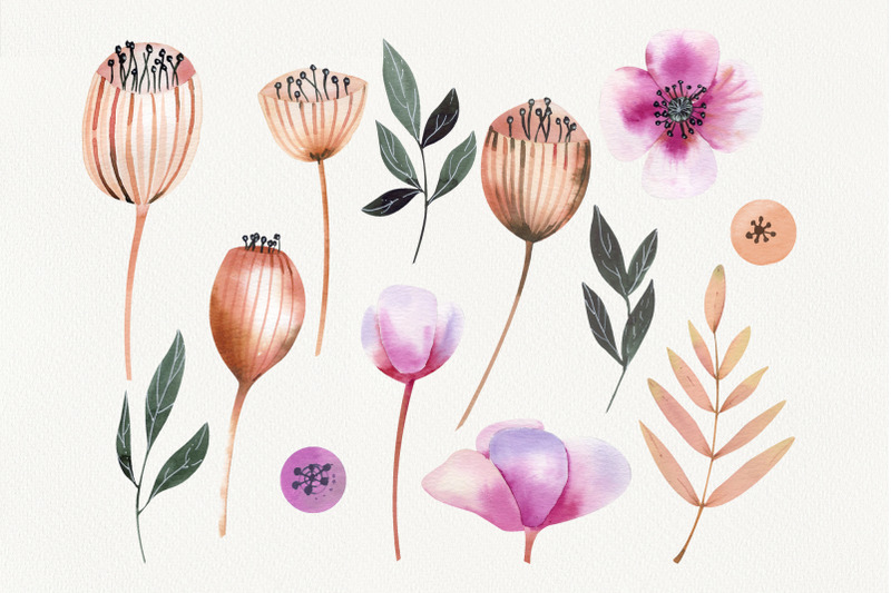 watercolor-cute-poppy-pods