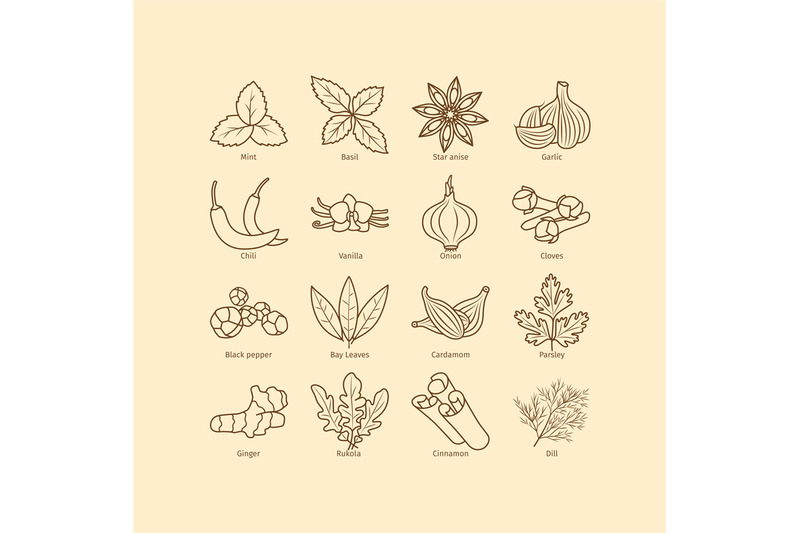 condiments-and-spices-line-icons-set