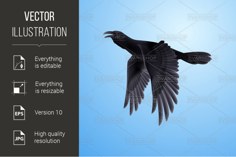 black-raven-on-blue-background