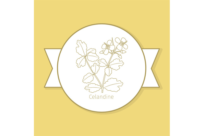 celandine-medicine-plant-yellow-label