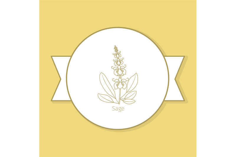 sage-medicine-plant-yellow-label-design