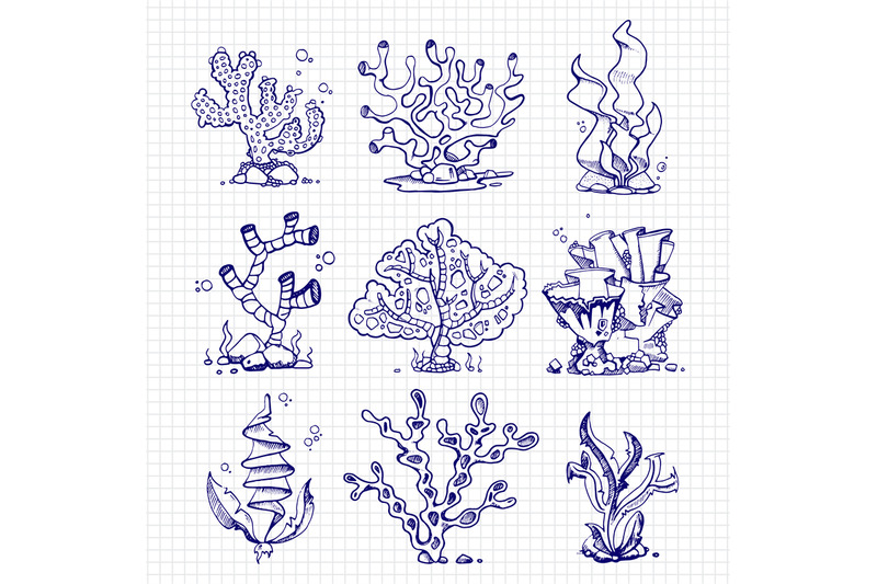 ballpoint-pen-drawing-seaweeds-corals-underwater-plants