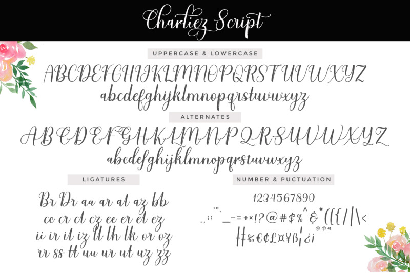 charliez-script-reguler-amp-italic