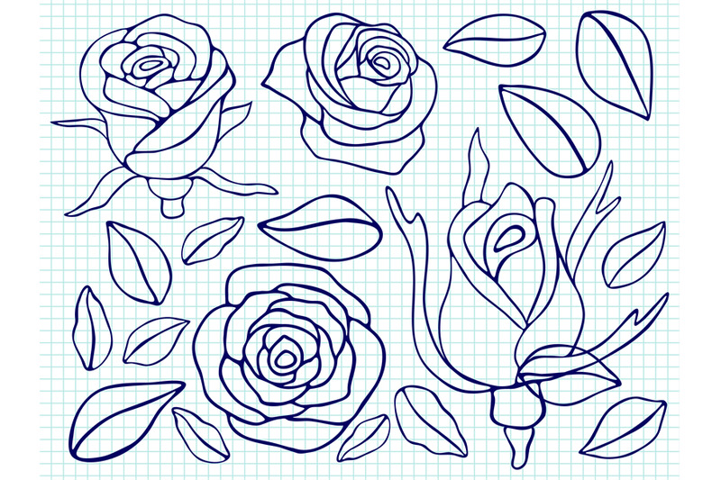 ballpoint-pen-drawing-roses-and-leaves