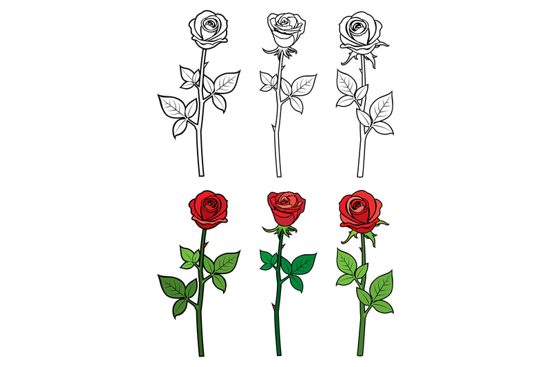 hand-drawn-ouline-and-red-roses-flowers