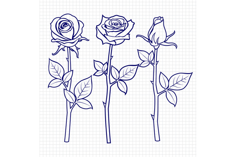 hand-drawn-sketch-roses-flowers