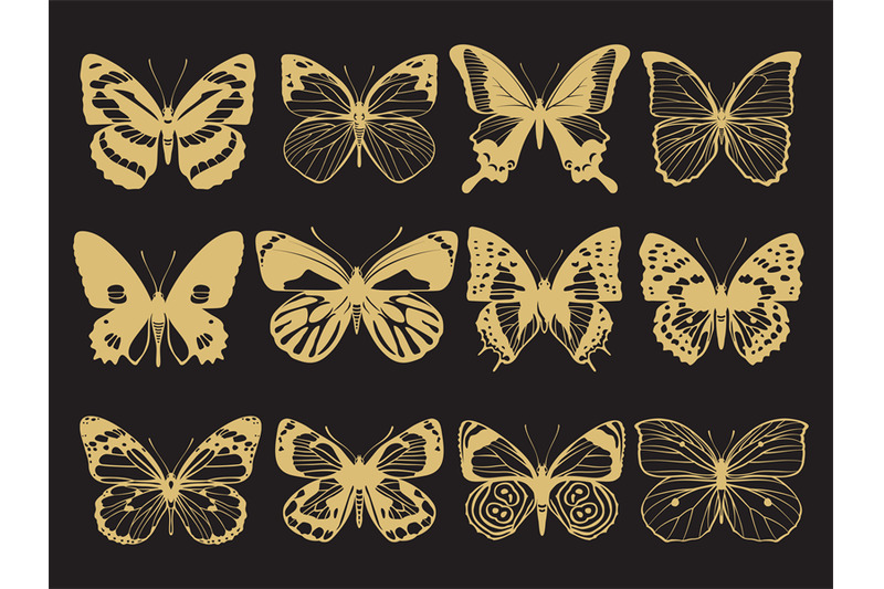 golden-butterflies-collection