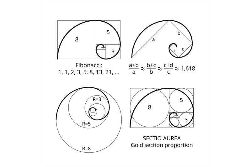 golden-fibonacci-ratio-spirals-gold-section-proportion-vector-visuali