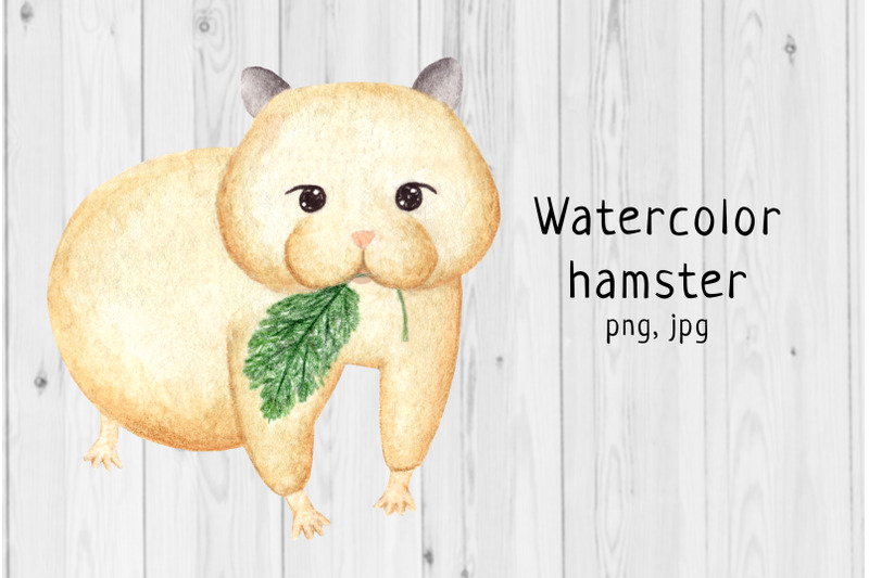 watercolor-hamster-3