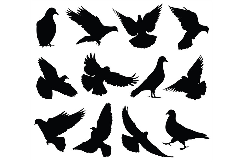 flying-dove-vector-silhouettes-isolated-pigeons-set-love-and-peace-sy