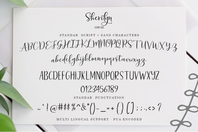 sherilyn-script-font-duo