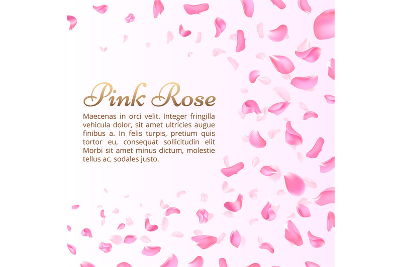 pink-rose-or-sakura-falling-petals-elegant-romantic-vector-background