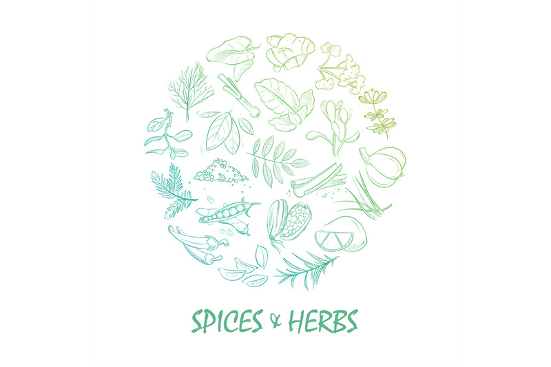 hand-drawn-spice-and-herbs-bright