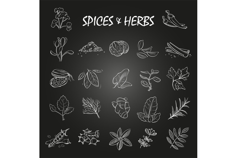 sketch-spices-and-herbs-collection-on-chalkboard