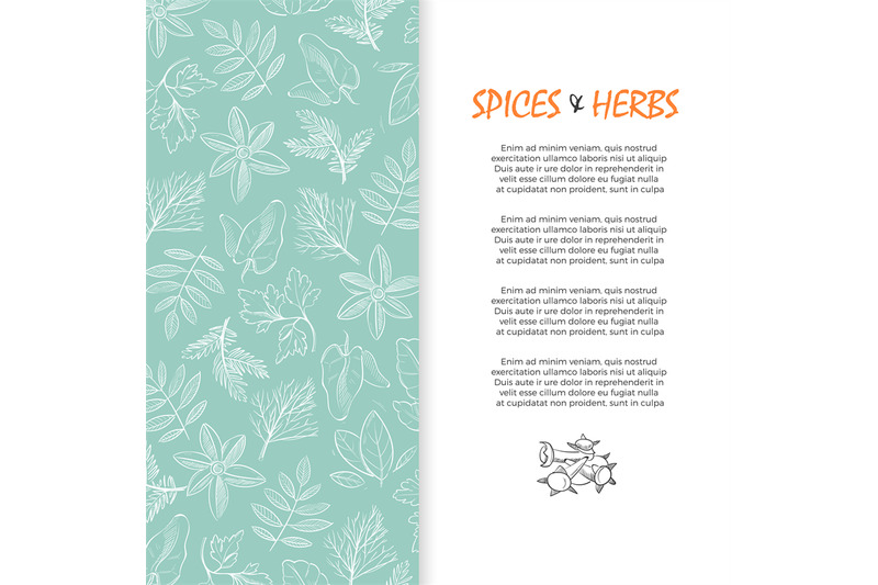 spice-and-herbs-banner-hand-sketched-culinary-and-medicine-herbs-bac