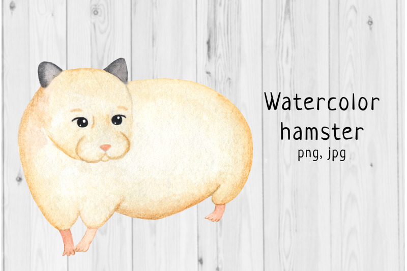 watercolor-hamster-4