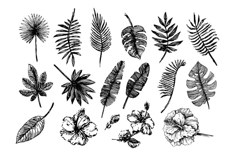 tropical-leaves-illustration-set