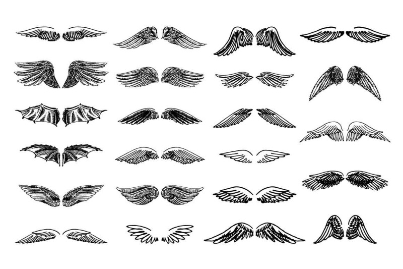 wings-illustration-set