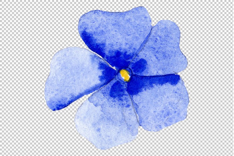 phlox-blue-watercolor-png