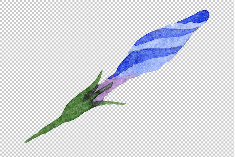 phlox-blue-watercolor-png